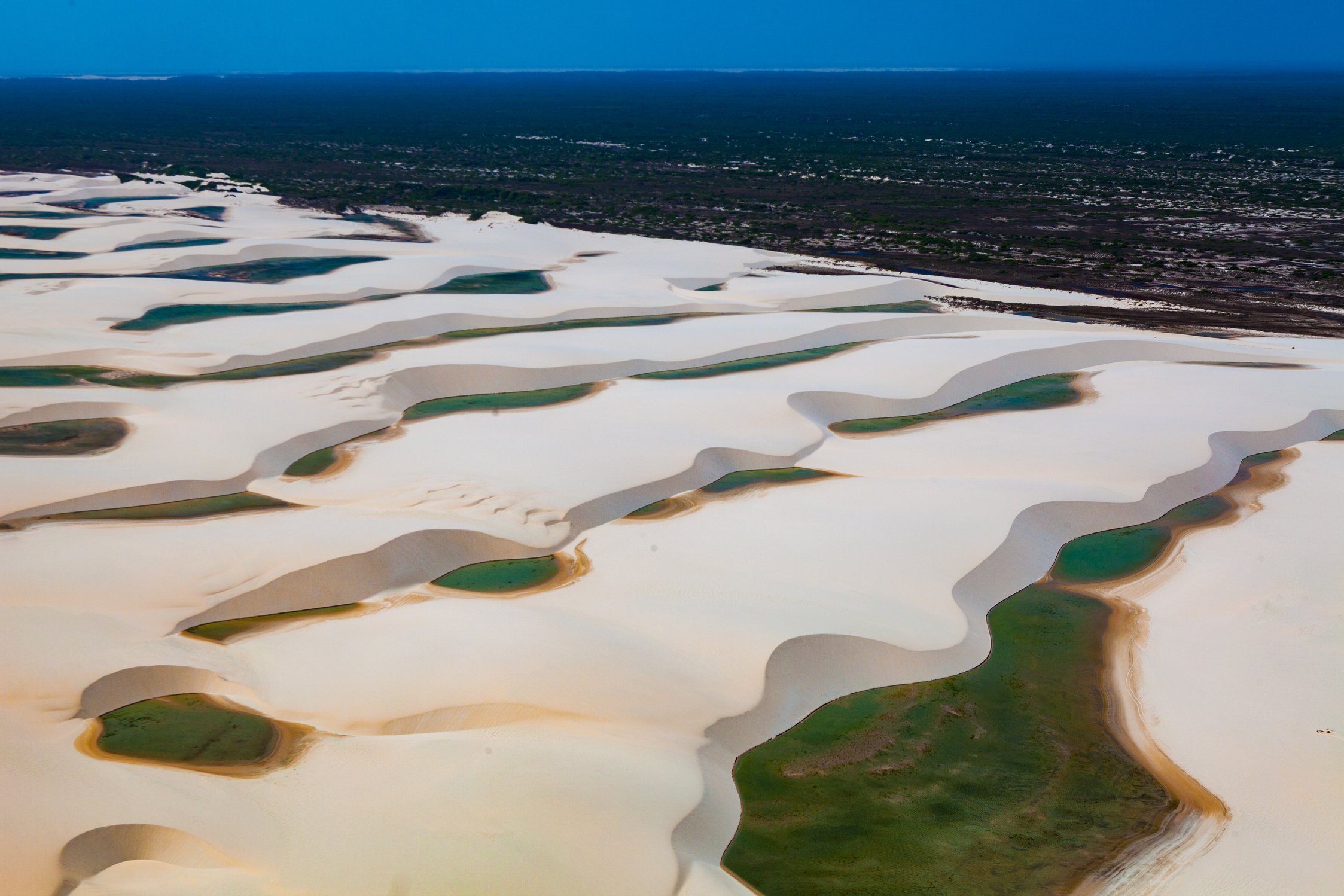 Parque Lençois Maranhenses