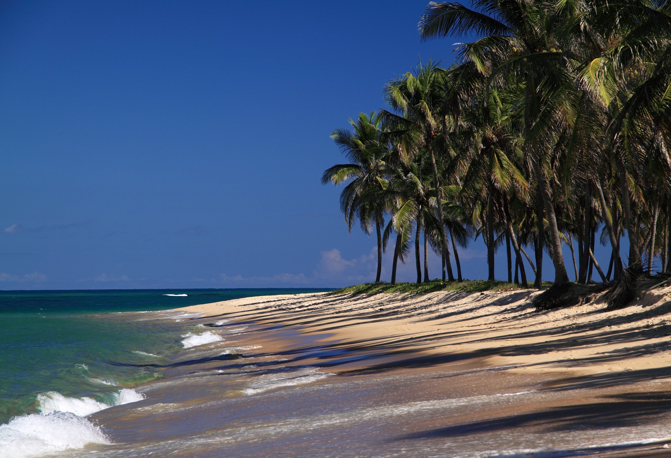 Waves crashing on Gunga Beach in Maceio, North East Brazil